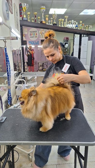 Предлагаю услуги Груминга (гигиена, стрижки,мытье животных)