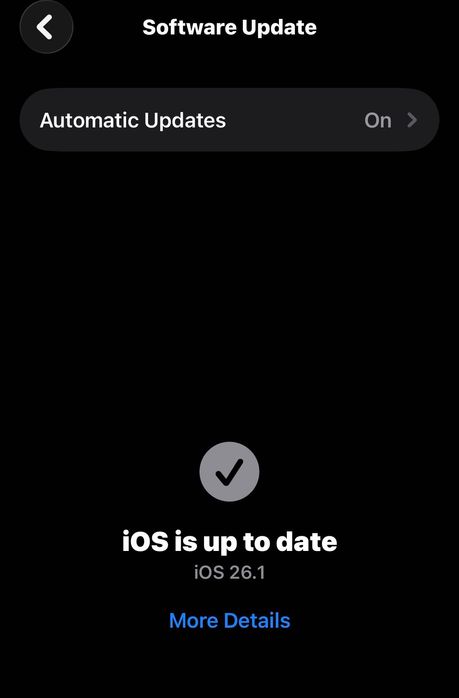 Перфектен Iphone 12 Pro Max 128 Graphite