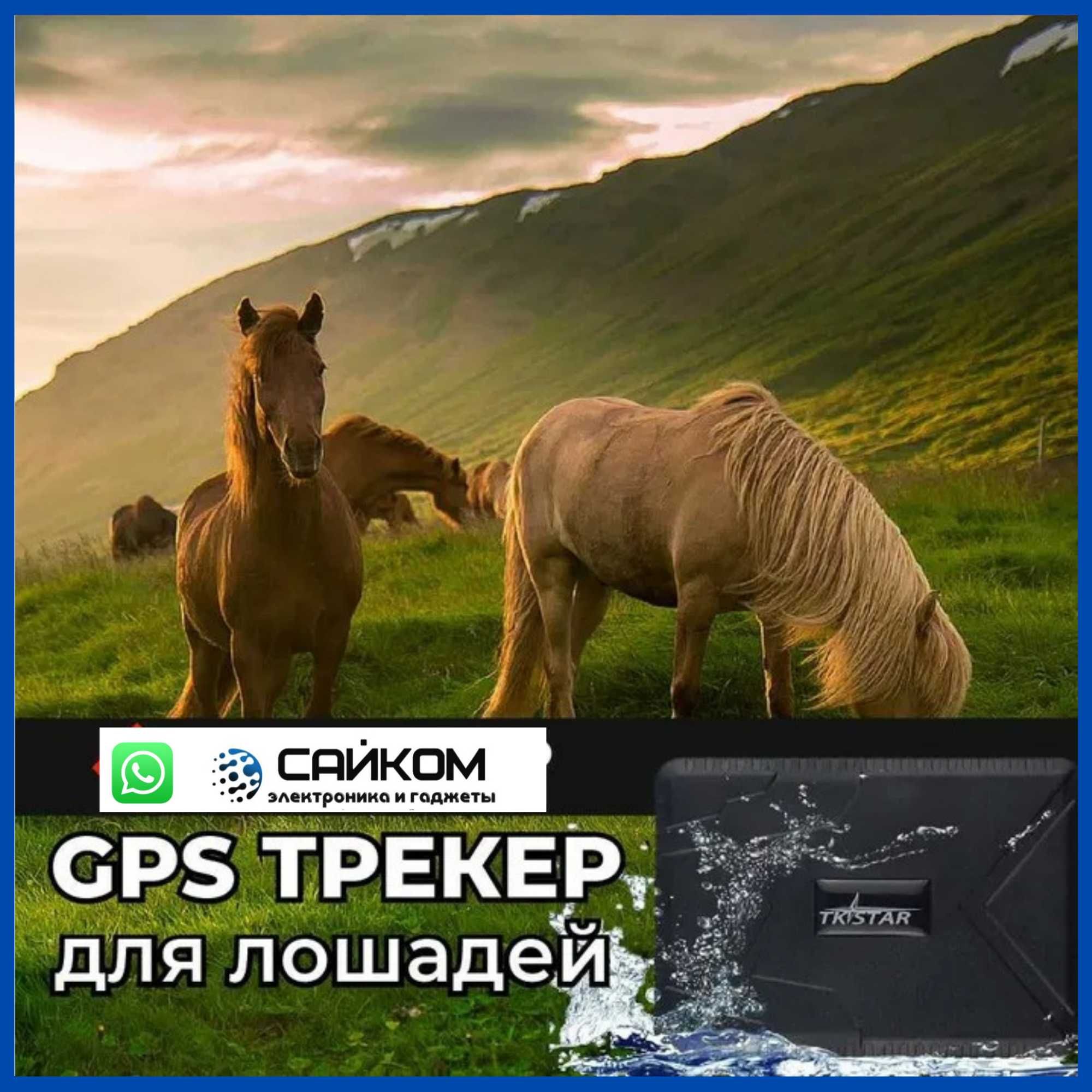 Жылқыға ЖПС /GPS для Лошадей/Настройка+Ошейник Доставка в Атырау.