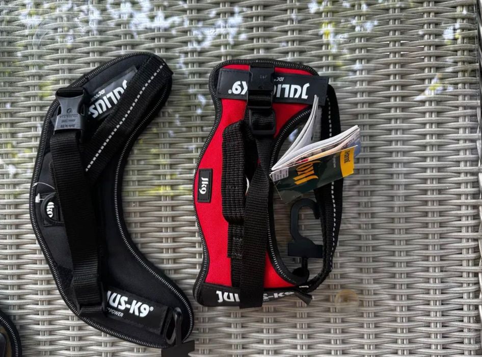 Vând hamuri pentru câini