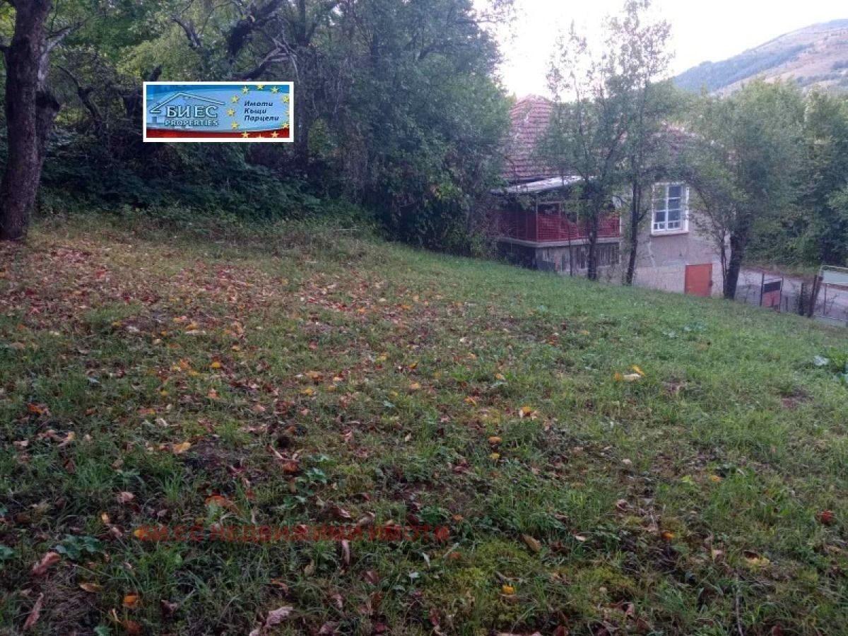Къща в с. Ямна с голям двор