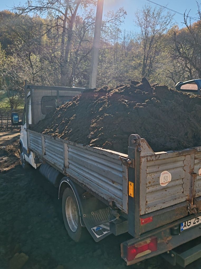 Balegar de oaie de 3 ani chisai pământ vegetal agregate balastiera