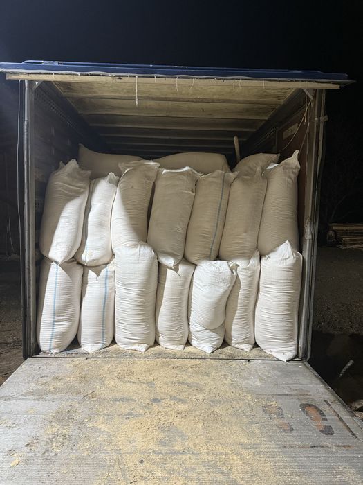 Vand rumegus la saci