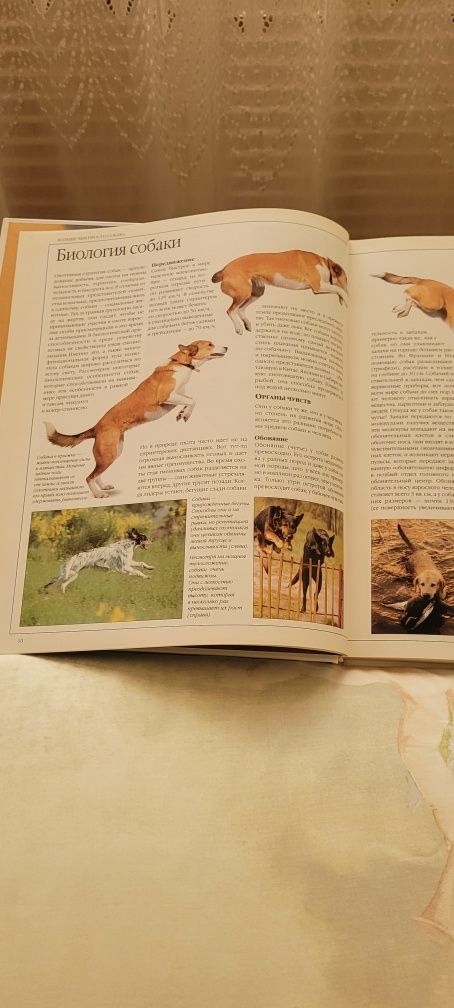 Книга "Все о собаке"