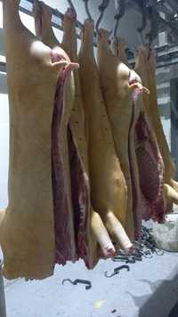 Мясо свинины оптом и в розницу
