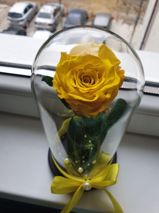Trandafir galben criogenat conservat in cupola de sticla