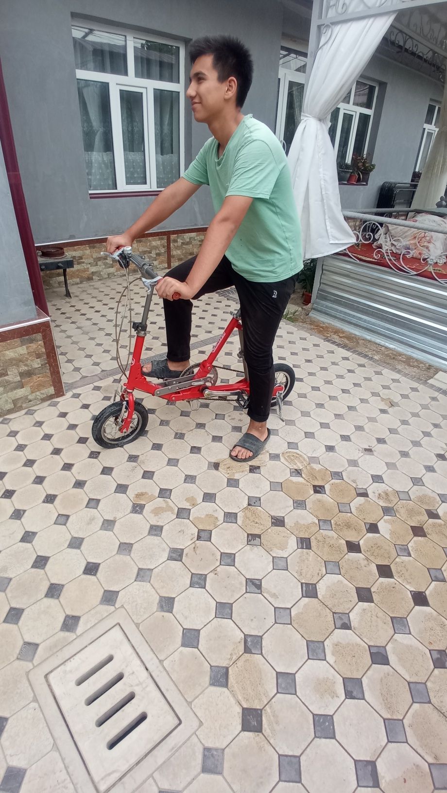 Velik sotiladi yaponskiy