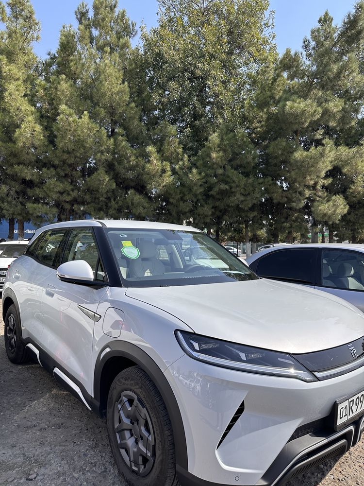 Byd yuan up 2024