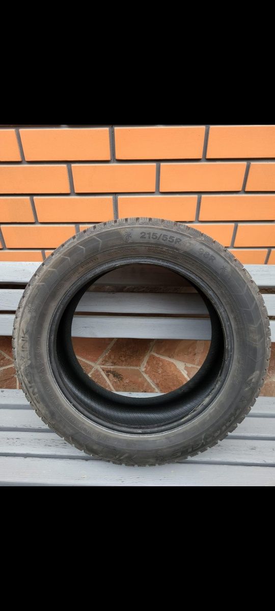 Зимние шины Triangle