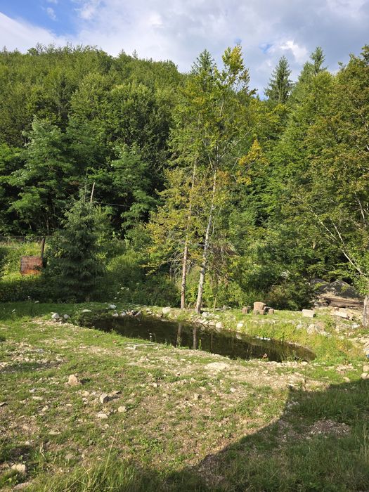 Teren Lunca Visagului