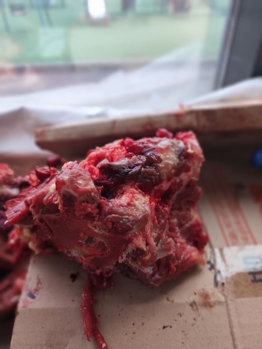 Корм для собак кг 300 тг