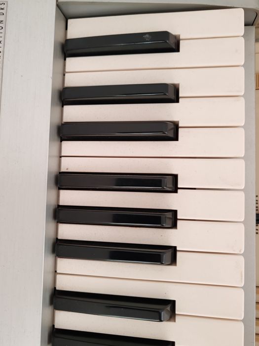 Clape pt Yamaha, korg, casio, kawai,  roland  D.