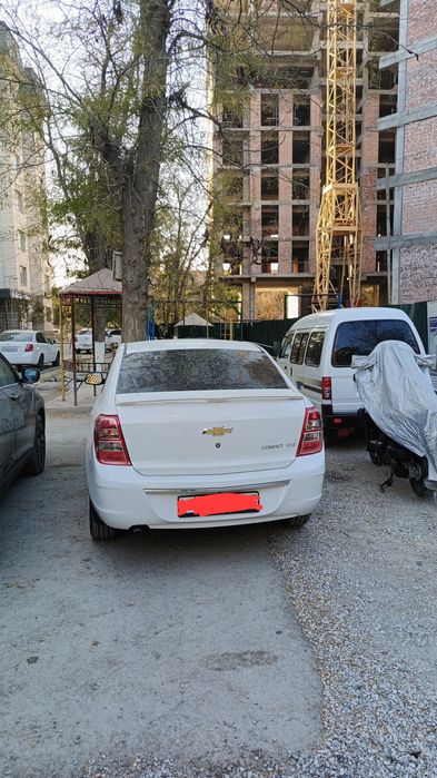 Kobalt 2024 holati a'lo