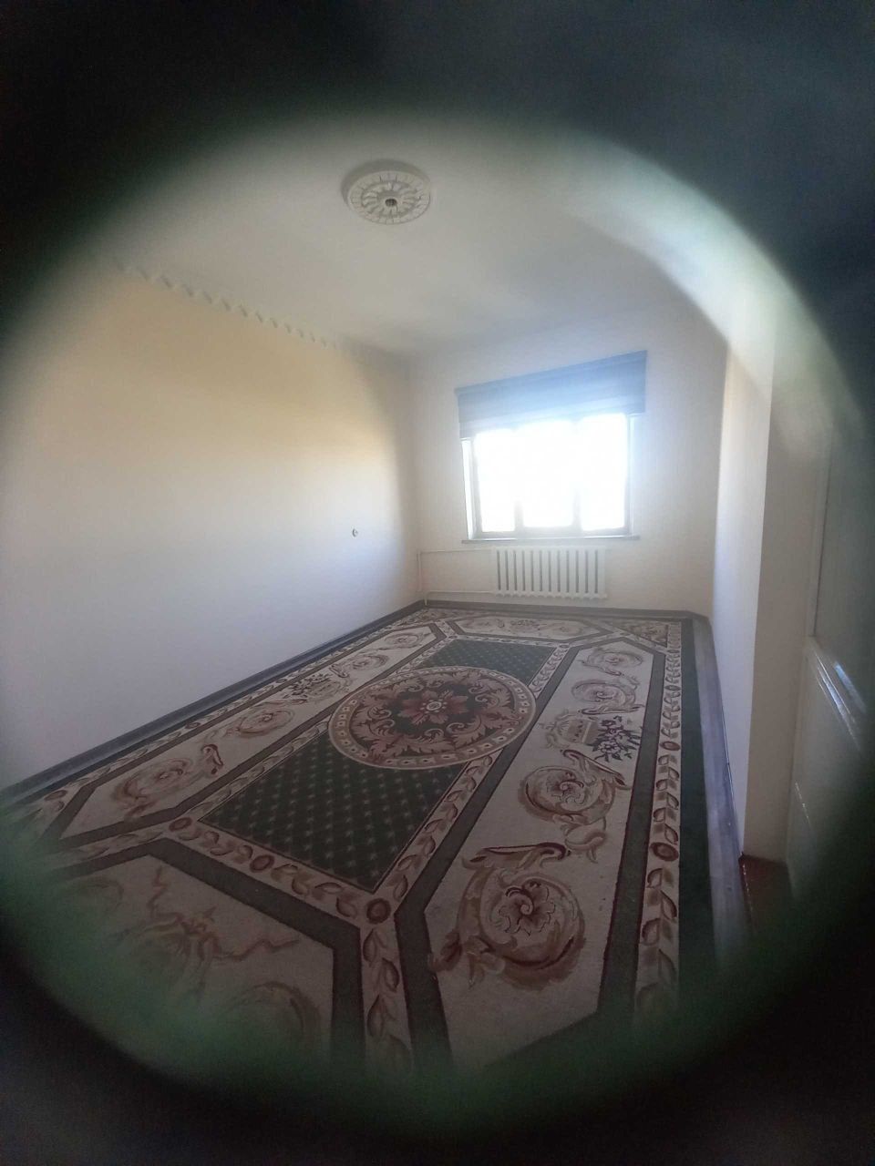 Аренда Квартира Кора камиш Массив Алимпия
