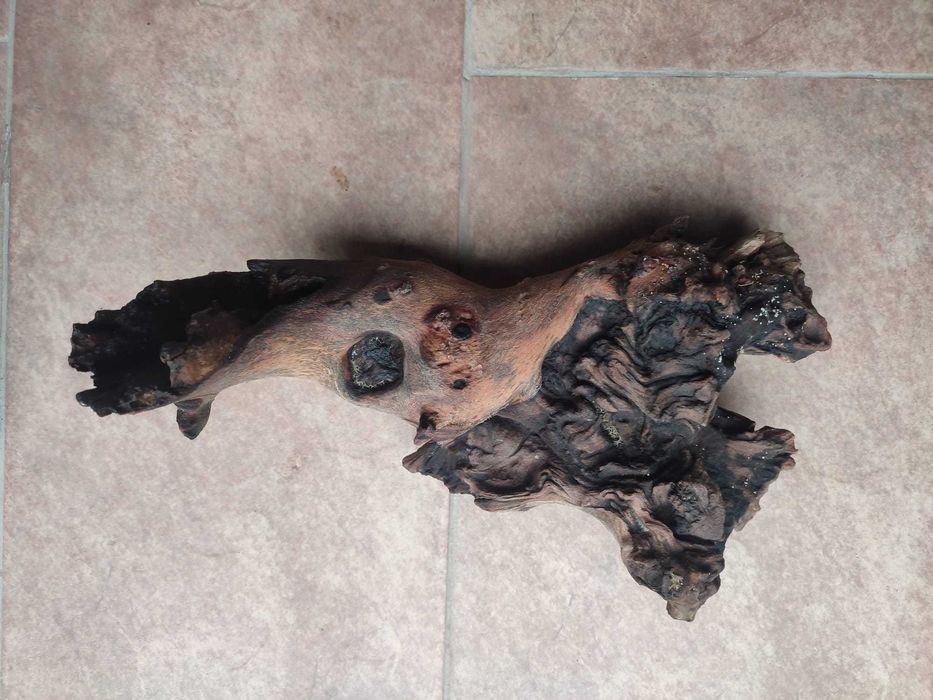 Vand radacini si pietre pentru acvariu - calitatea I. gata fierte