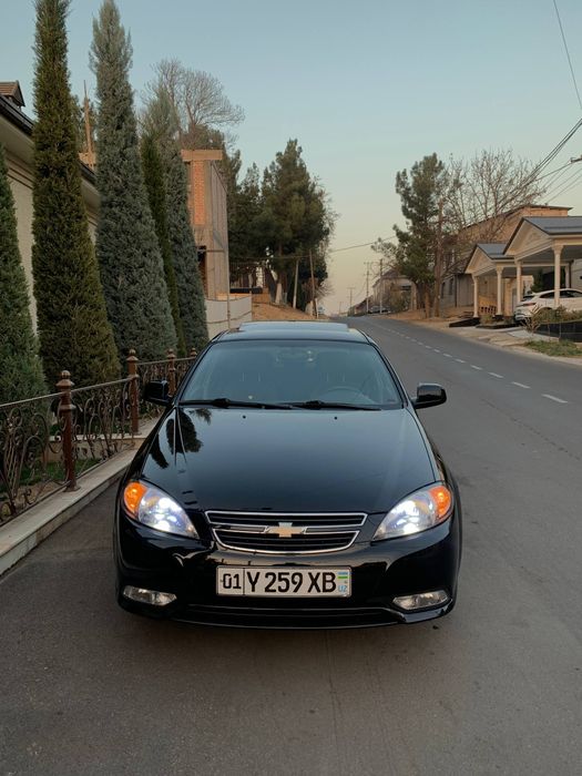 Кора жентра 2022