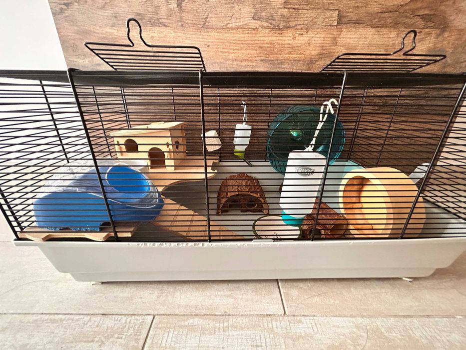cusca hamsteri complet echipata pentru 1 sau 2