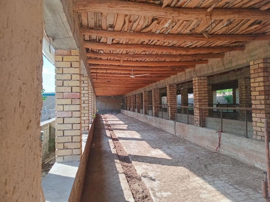 Участок 26 соток