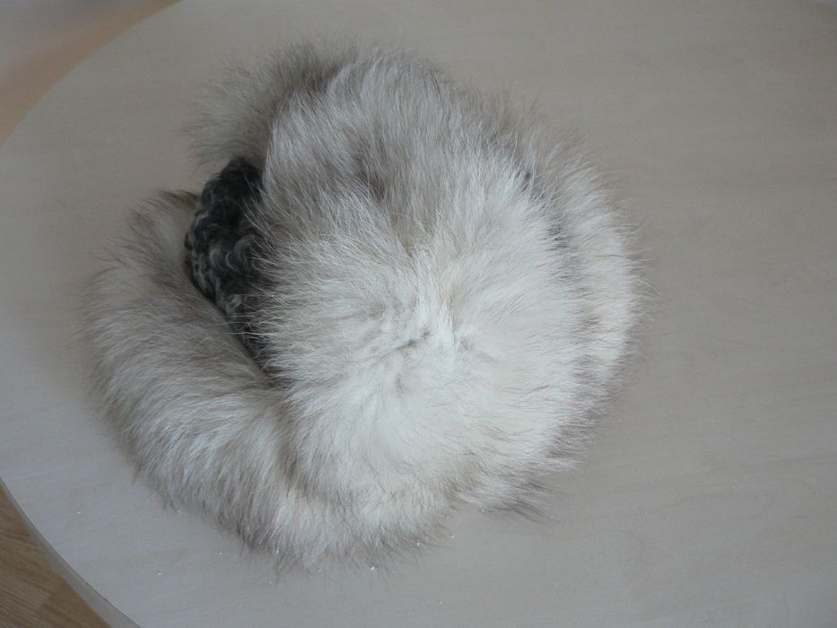 Caciula blana vulpe polara , exceptionala