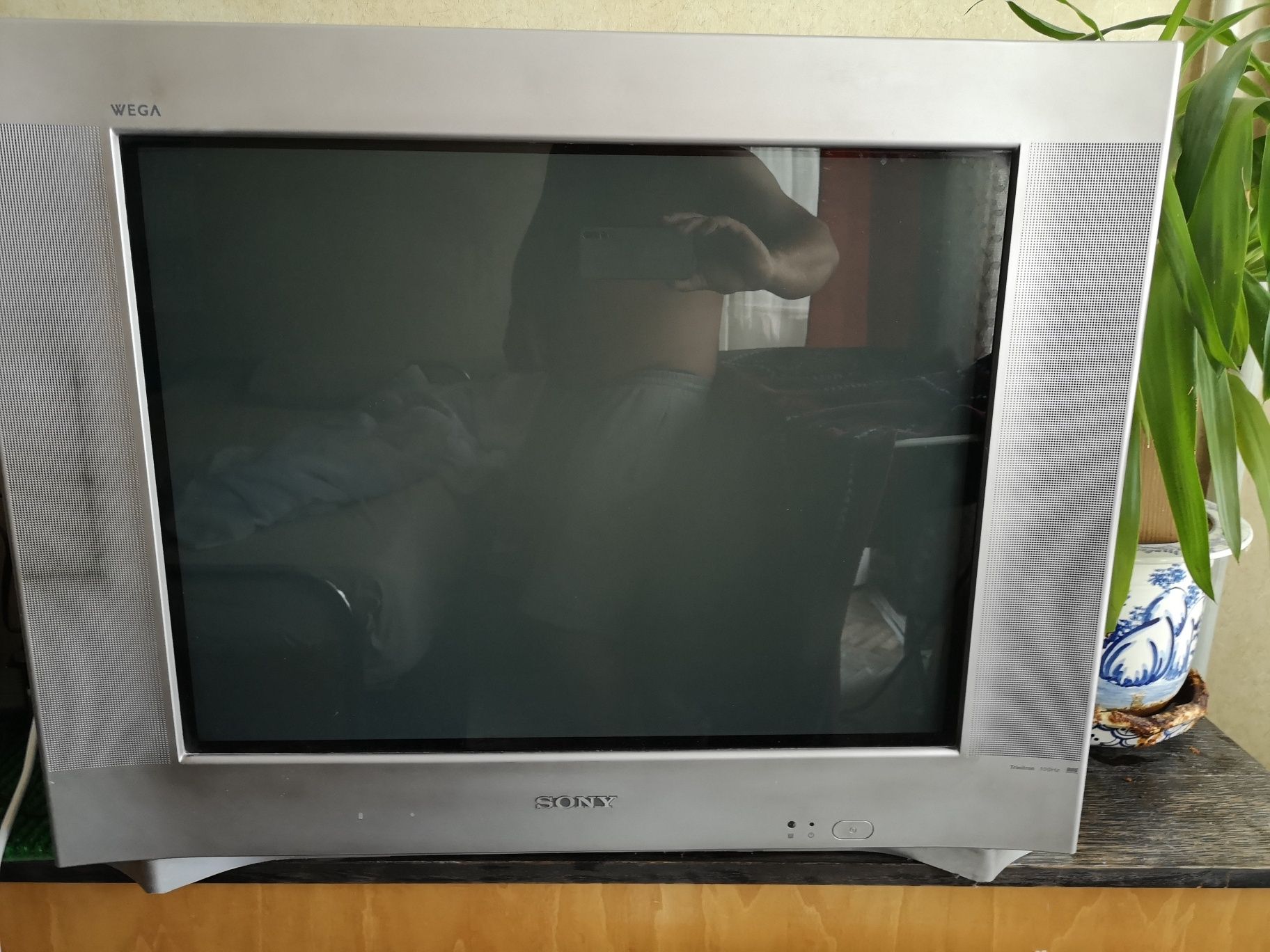 Sony Trinitron 29"
