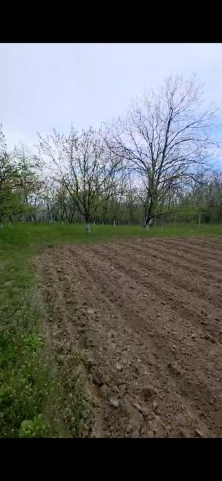 Vând teren intravilan 1700mp