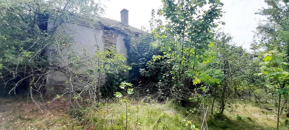 Продава се Къща в с. Пчеларово, Област Добрич - 90 кв.м за 46 €/кв.м - Снимка #4