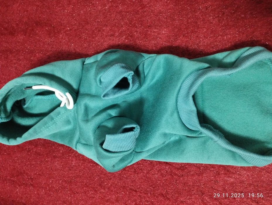 Зимни дрехи за куче