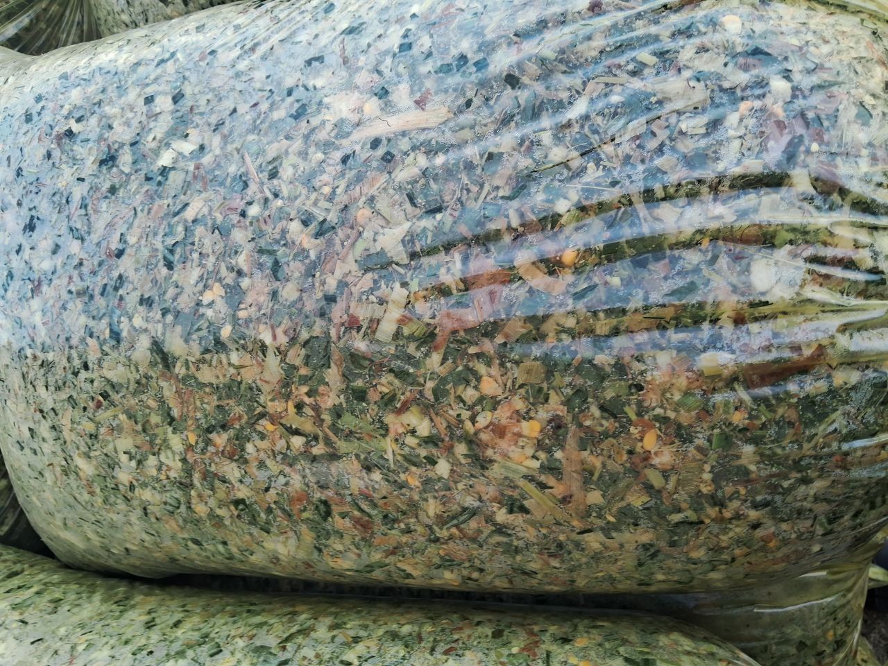 Silos sotiladi qoplangan