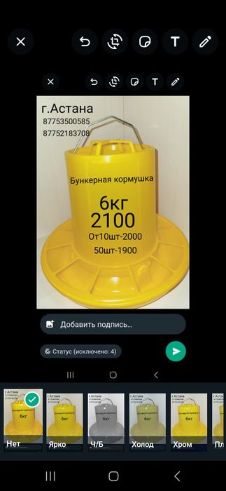Бункерные кормушки для птиц