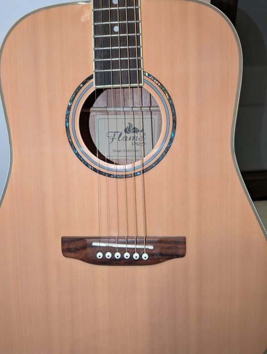 Chitara acustica cu husa Flame PRO