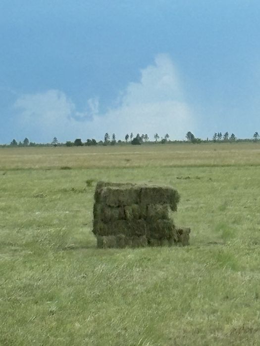 Продам сено в тюках