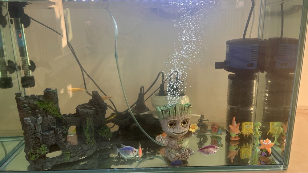 Продам аквариум 50л с рыбками