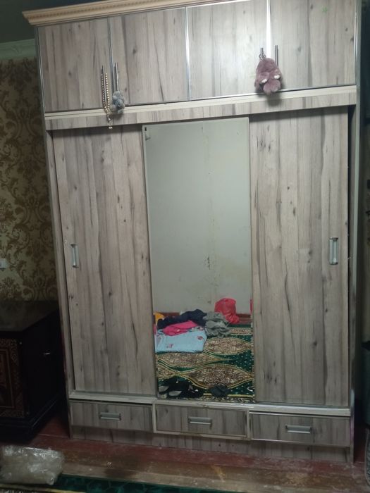 Shifaner sotiladi rolik ewiklik