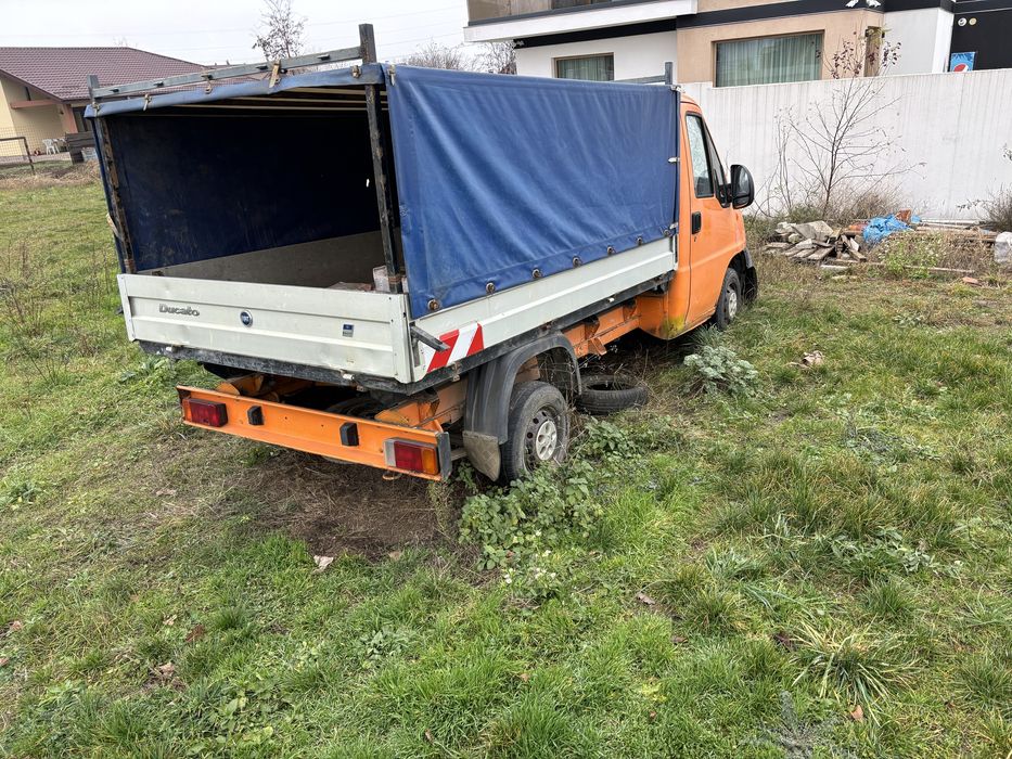 Fiat Ducato/dauna