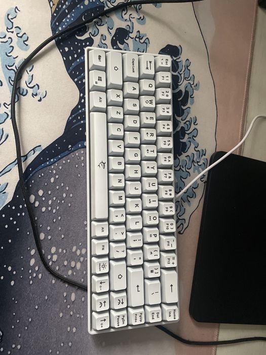 tastatura WHITESHARK (60%) + mousepad + headset stand