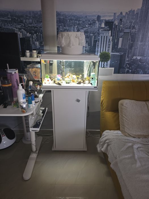 Vând acvariu complet echipat, în stare excelentă.