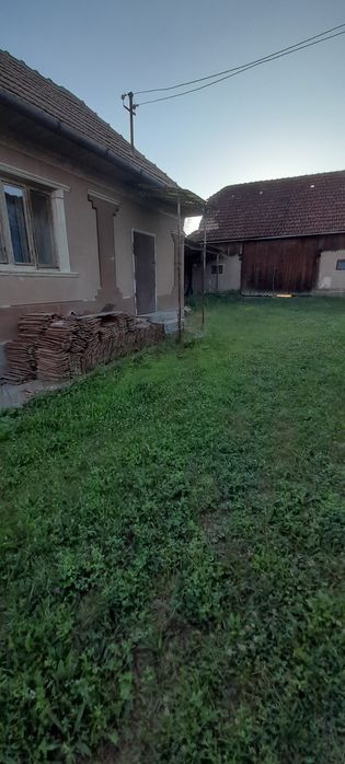De vanzare  imobil : casa , bucatarie de vara , sura, gradina 30 ari