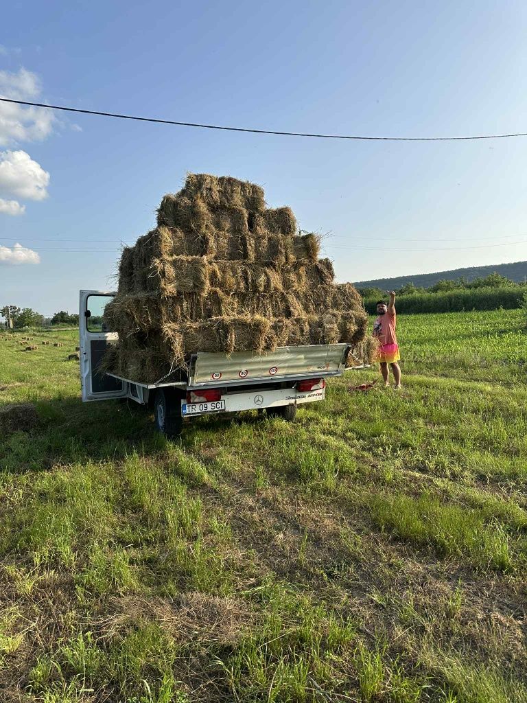 Executăm Transporturi Marfă Mobilă Moloz