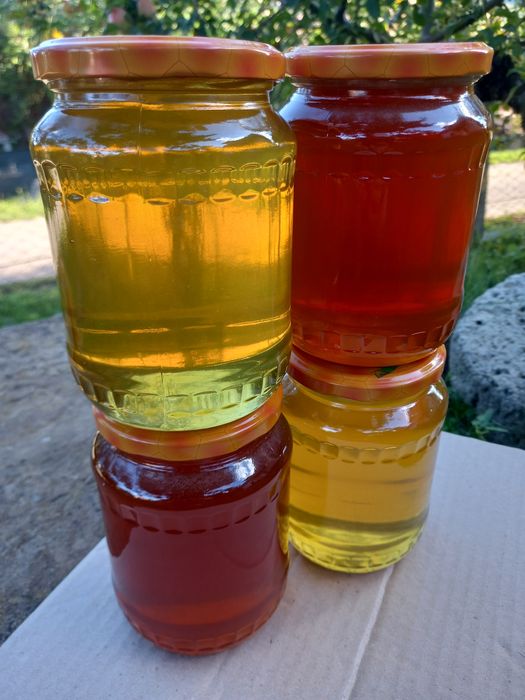 Miere de albine Salcam