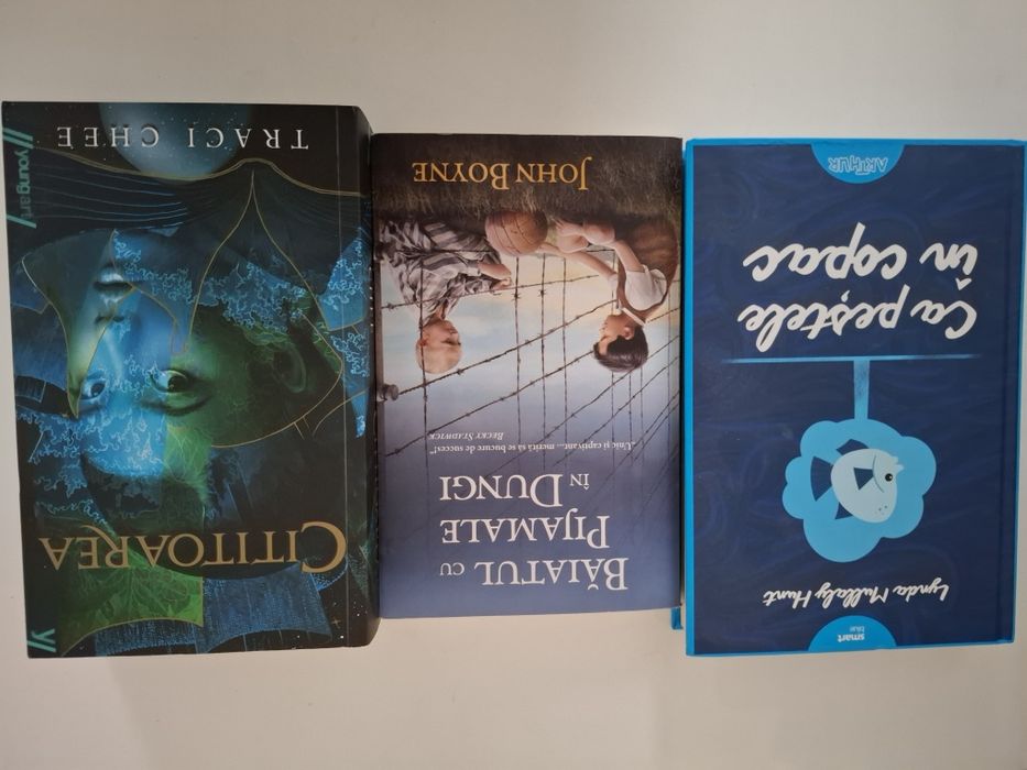 Baiatul cu pijamale in dungi