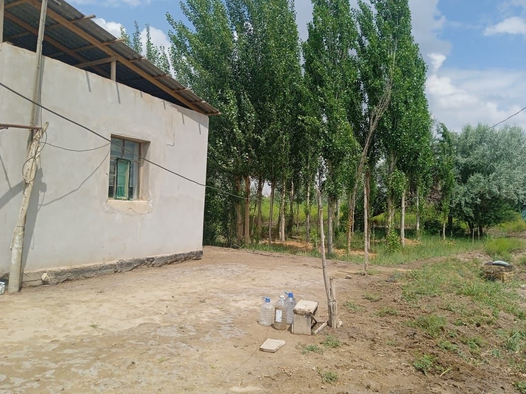 Жай сатылады тахиятаста