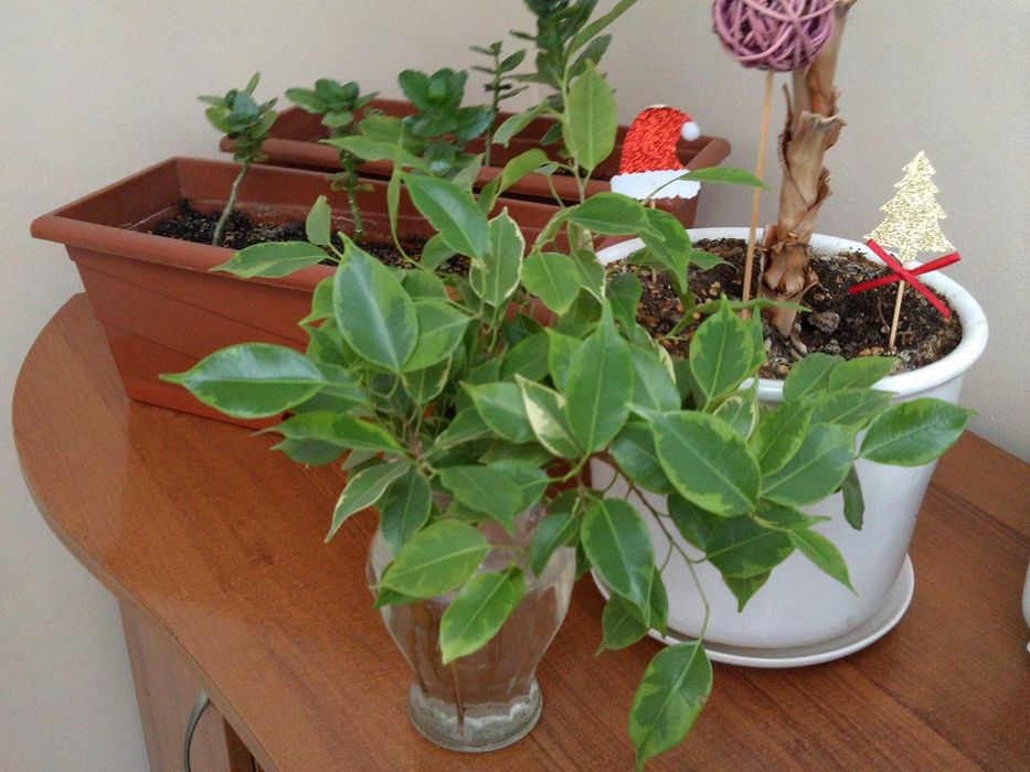 фотоапарат MAGINON Splash 80 с два дисплея