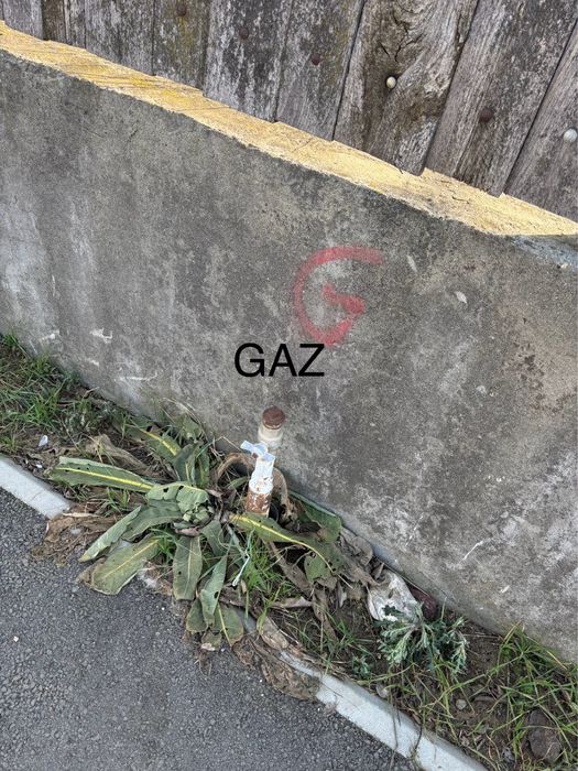 PROPRIETAR - Vand teren + casa comuna Dascalu