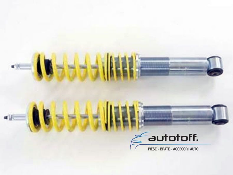 Suspensie sport FK reglabila pe inaltime VW Polo 6N (94-99)