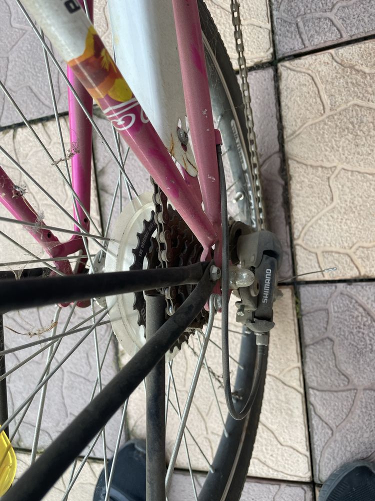 Bicicleta pentru copii 24”