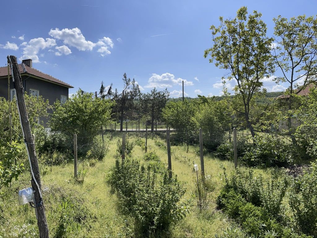 Продава се Къща в с. Държаница, Област Видин - 100 кв.м за 225 €/кв.м - Снимка #9