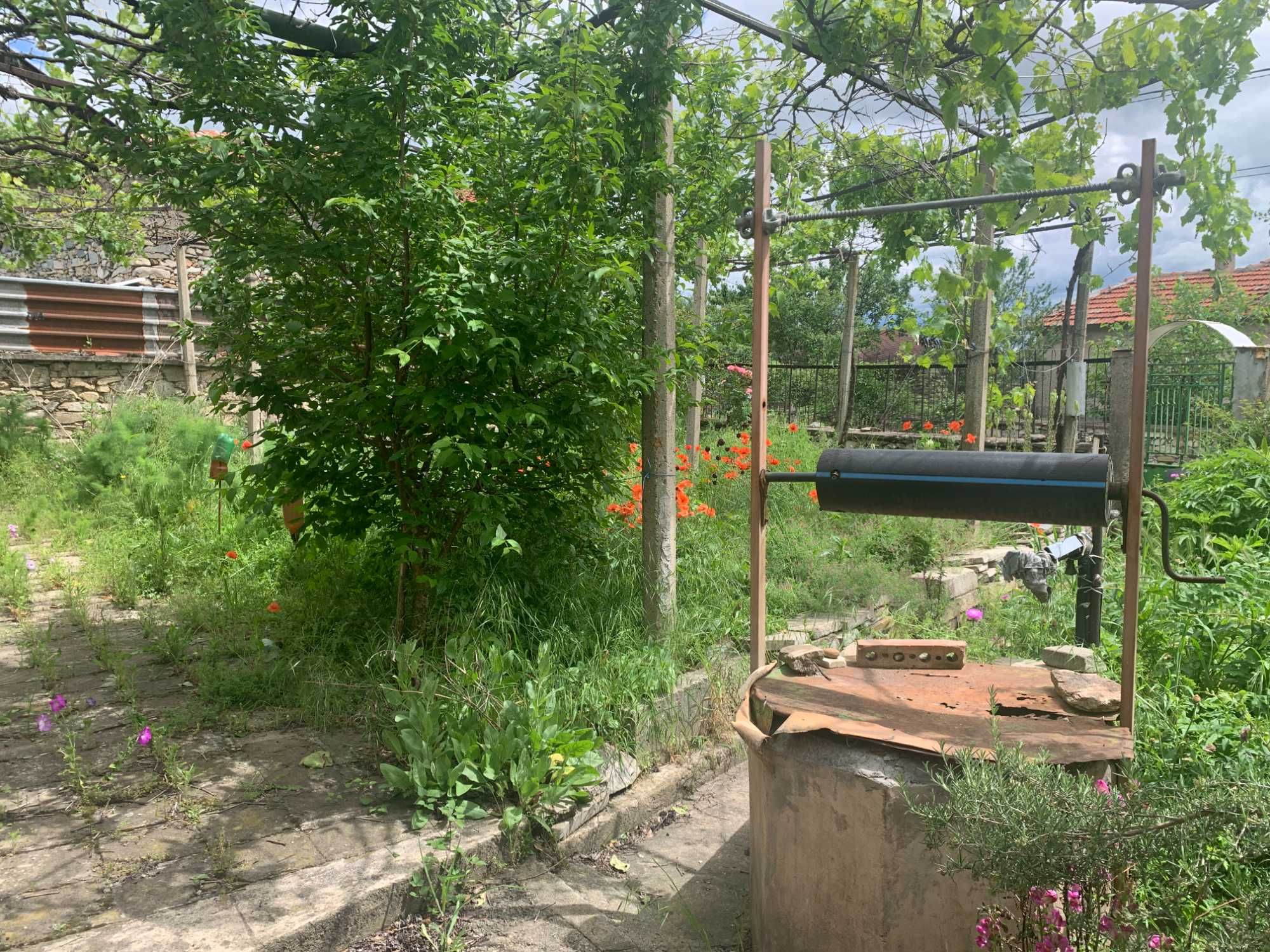 ДВЕ КЪЩИ с двор в центъра на кв. Сушица