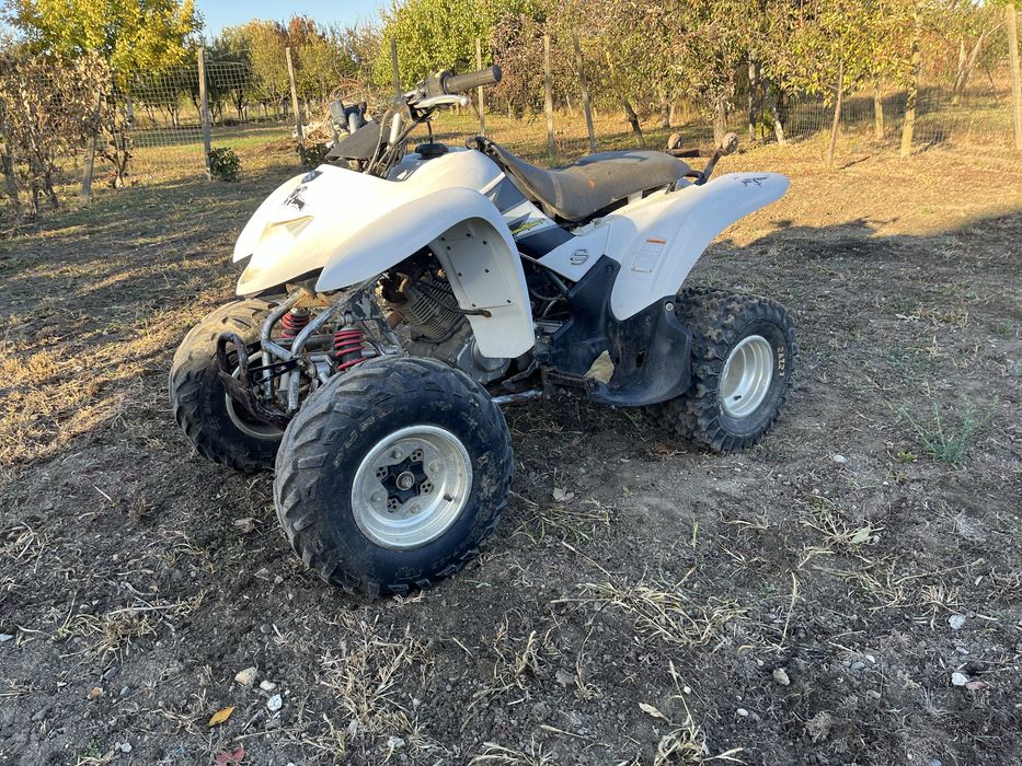 Suzuki LTZ 250 !!