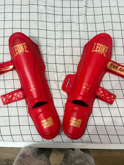 Tibiere lupte leone profesionale