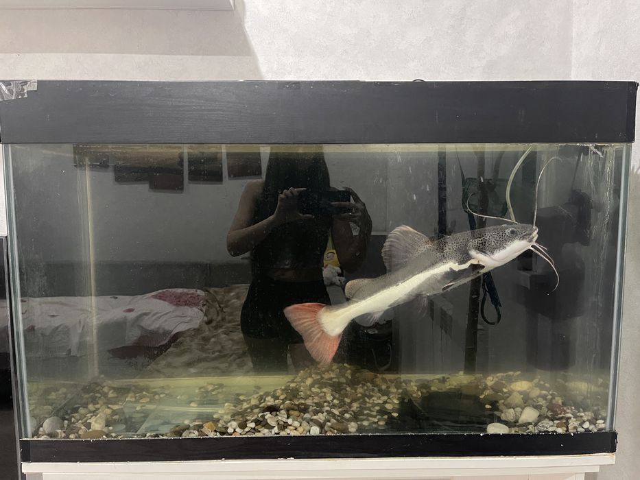 Аквариум , стол